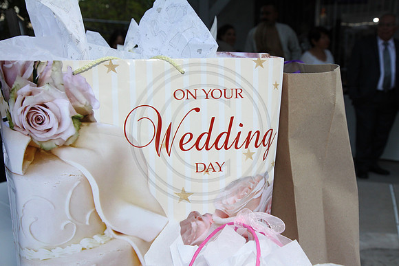 Marvin & Danielle Wedding629_8_06_2011