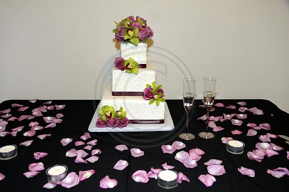 Marvin & Danielle Wedding530_8_06_2011